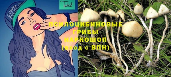 2c-b Алексин