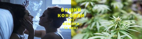 прущие грибы Аркадак