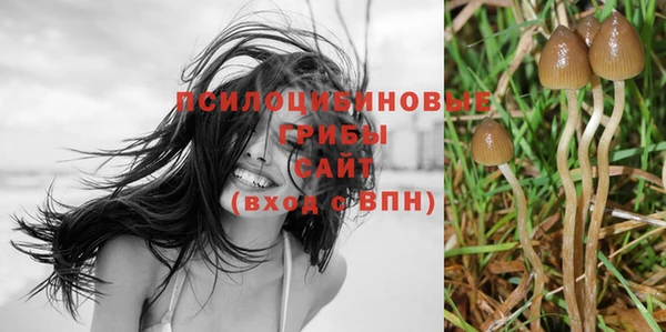 прущие грибы Аркадак