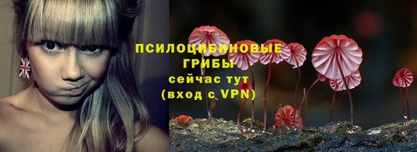 таблы Алзамай